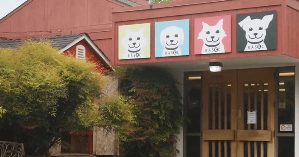 Building the Sanctuary